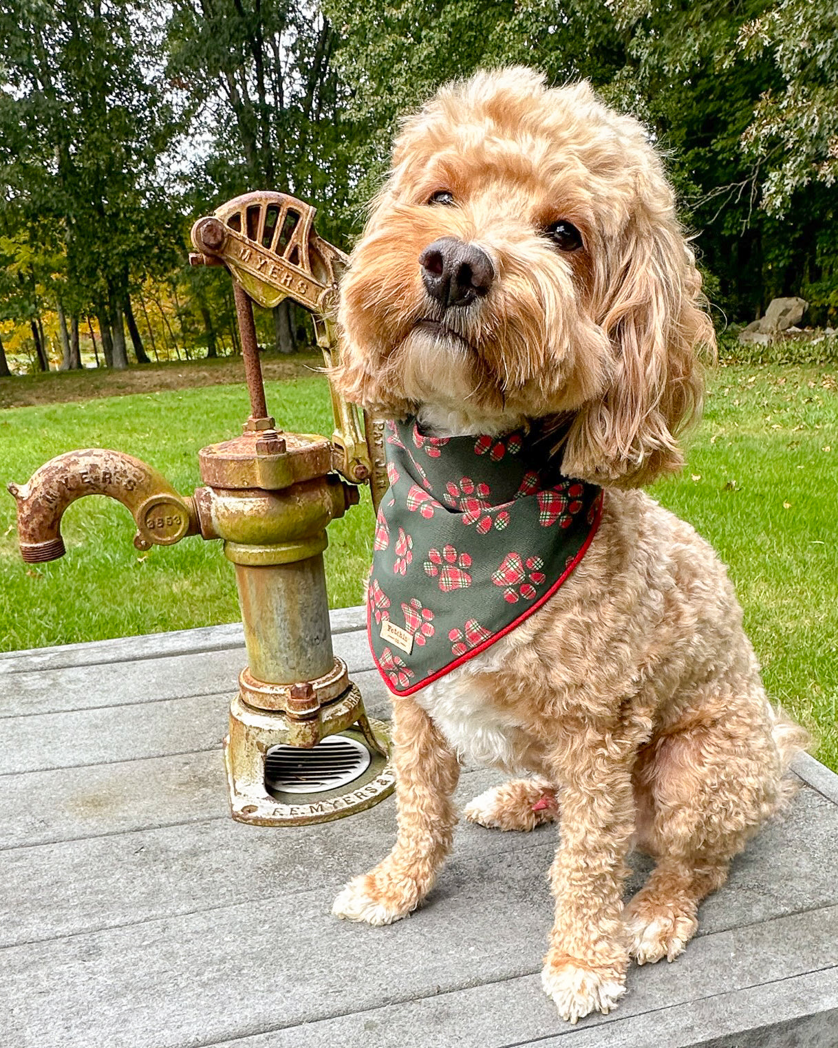 Green Plaid Paw Print Bandana