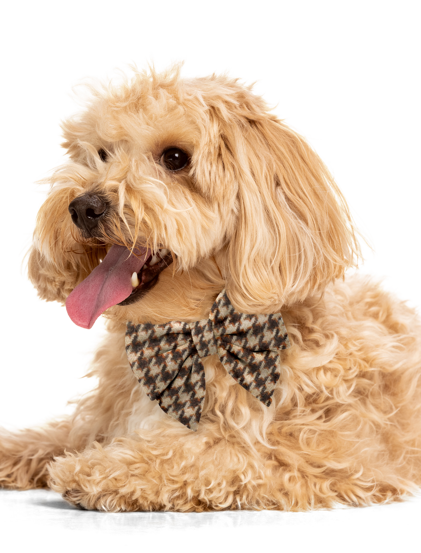 Houndstooth Collar Bow