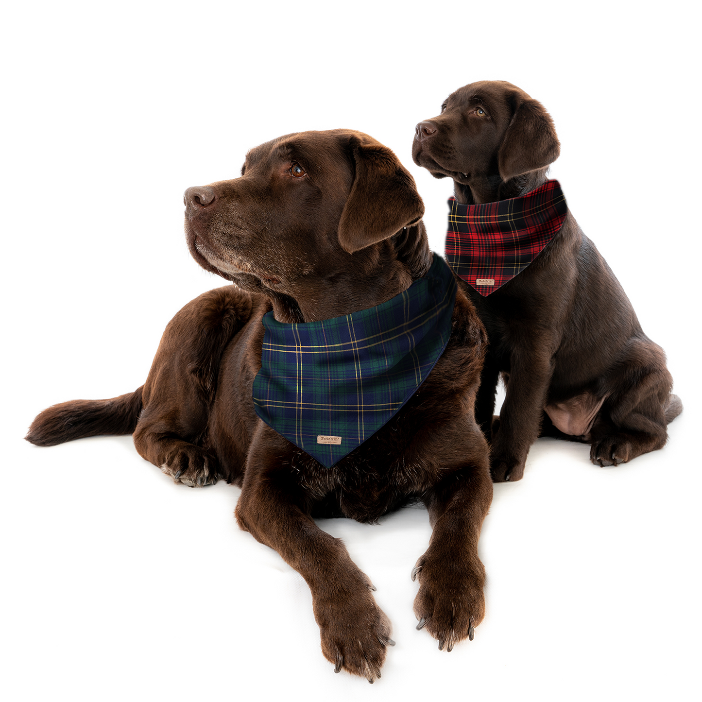 Red Plaid Bandana
