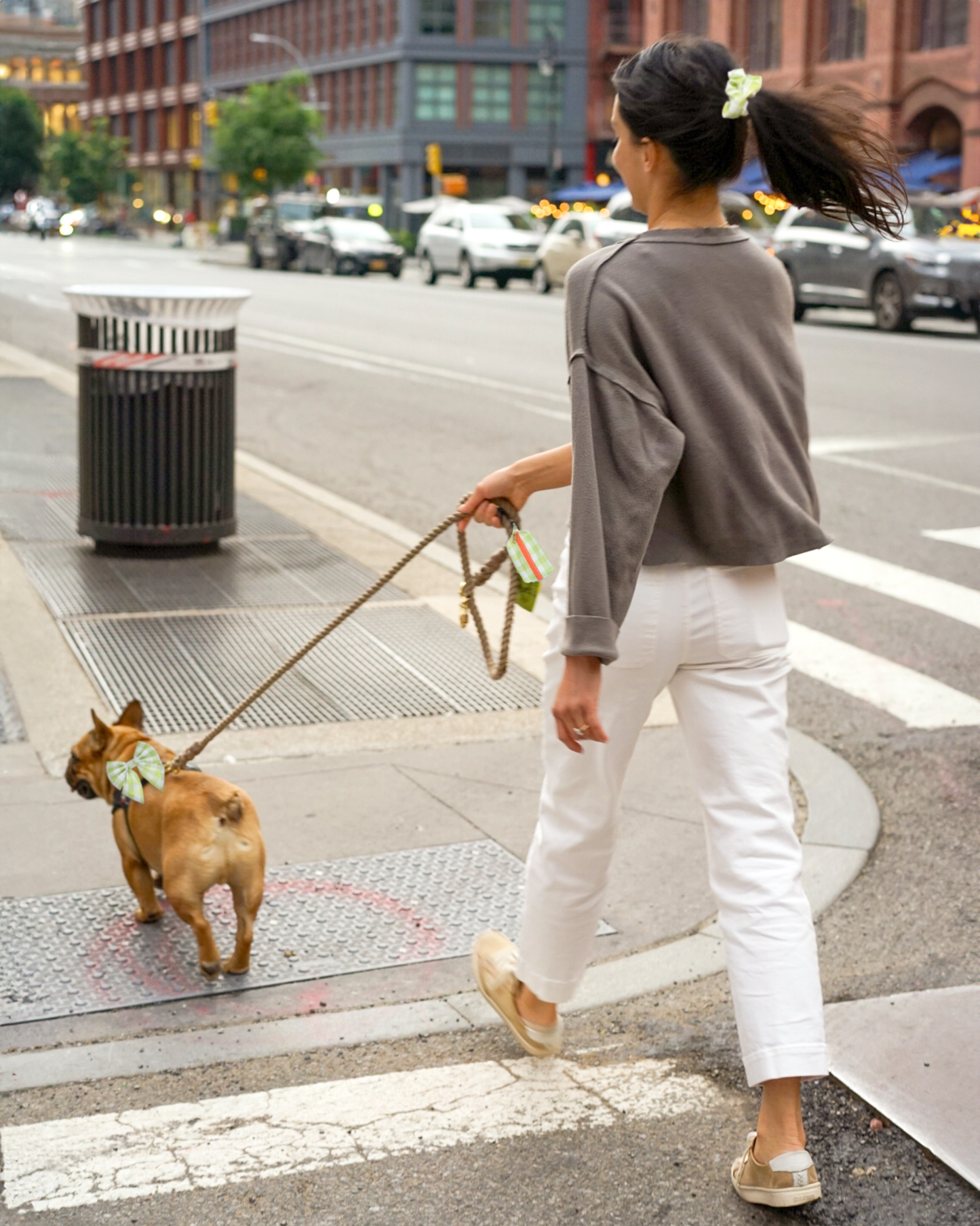 Green Gingham Pet Waste Bag Holder