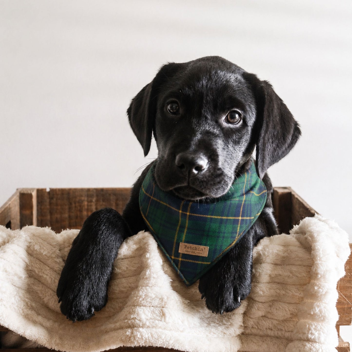 Navy Plaid Bandana