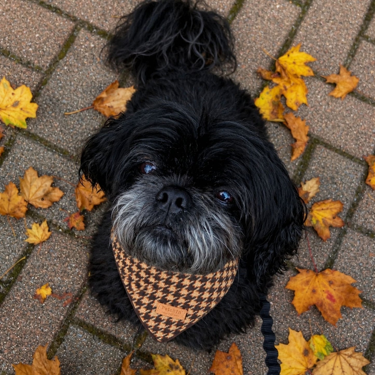 Houndstooth Bandana
