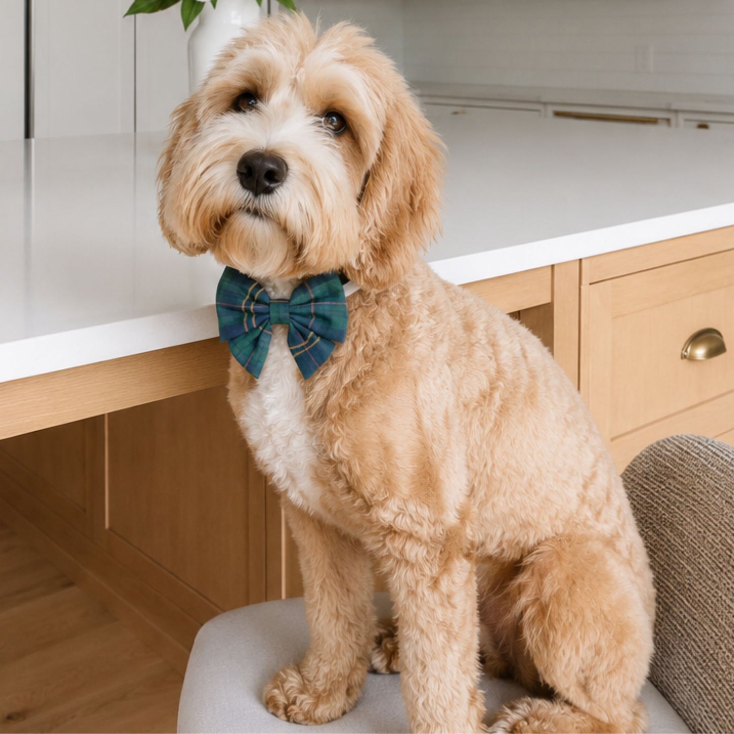 Navy Plaid Collar Bow