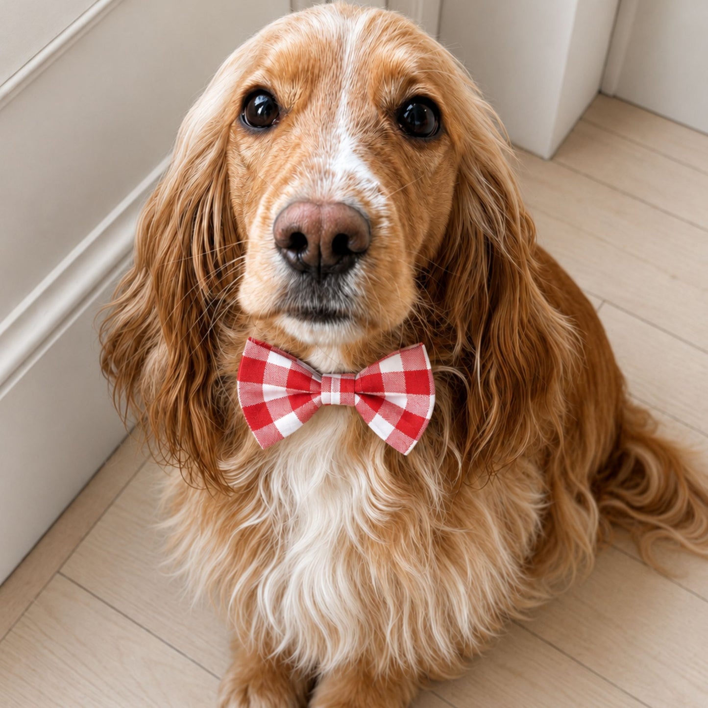 Red Gingham Collar Bow Tie