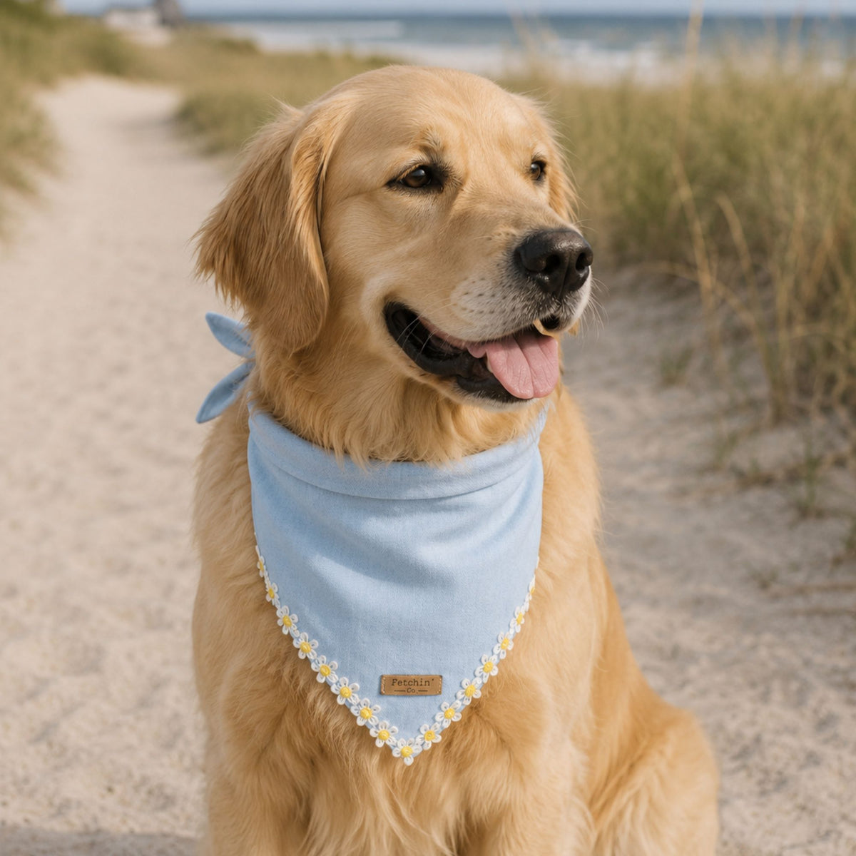 Chambray Daisy Chain Bandana