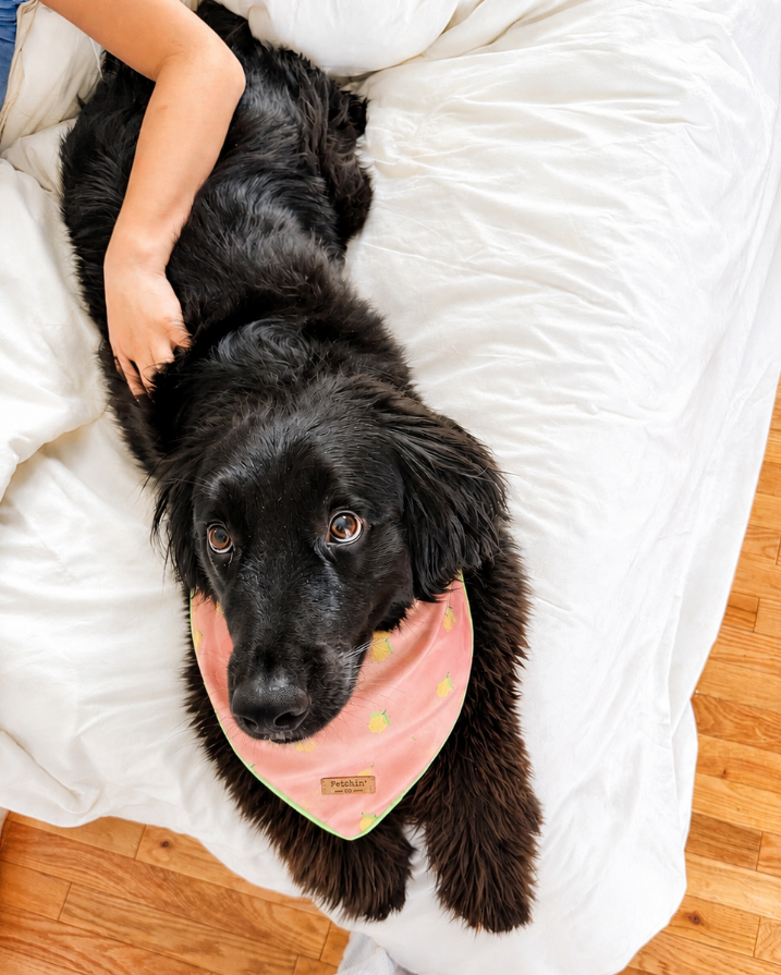 Pink Lemonade Printed Bandana