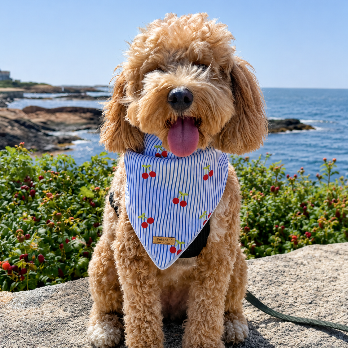 Cherry Pin-Striped Printed Bandana