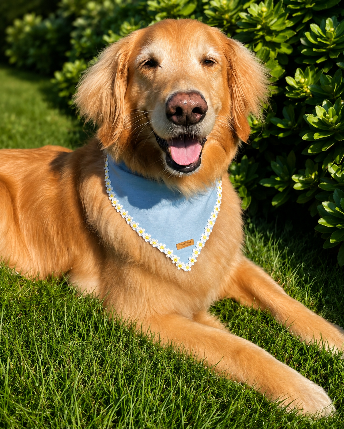 Chambray Daisy Chain Bandana