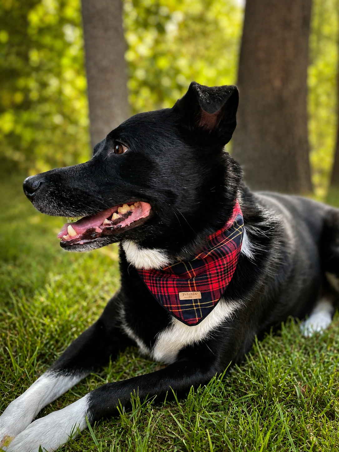 Red Plaid Bandana