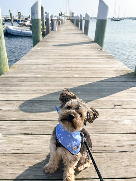 Anchor Printed Bandana