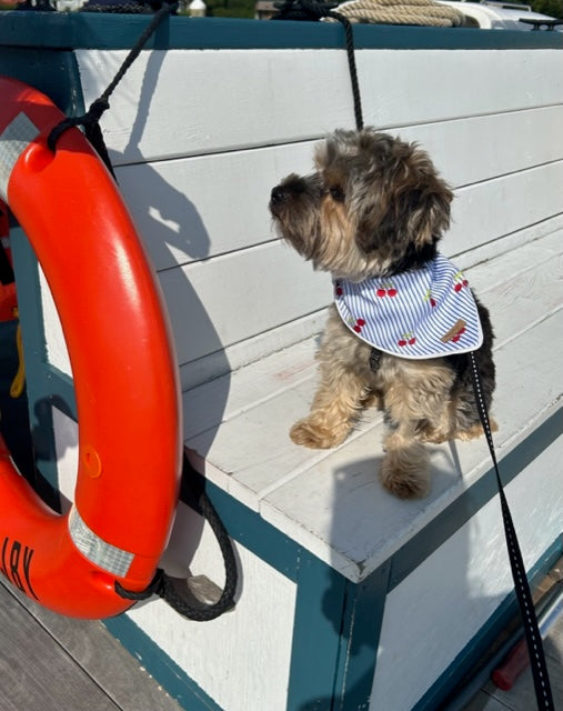 Cherry Pin-Striped Printed Bandana