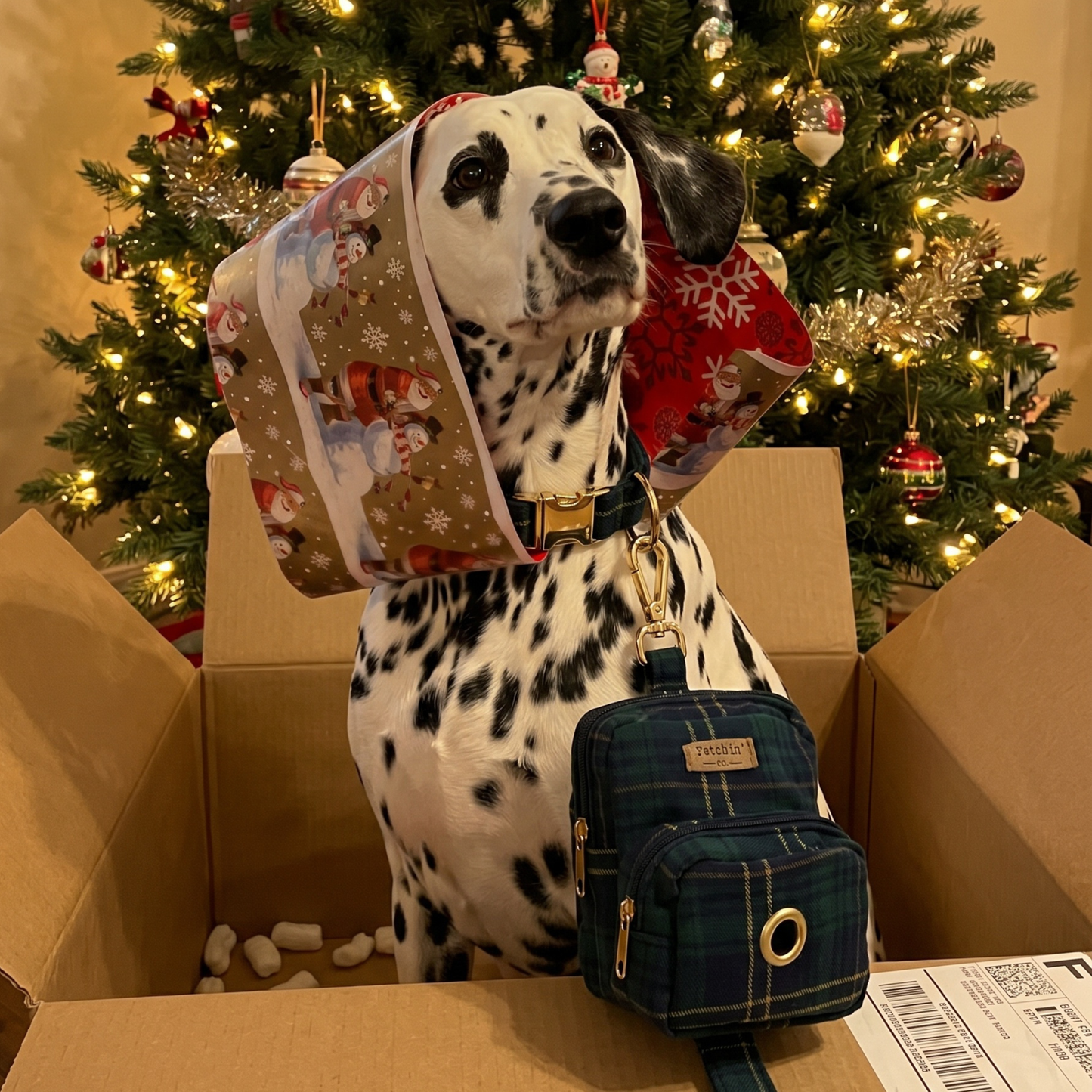 Navy Plaid Mini Backpack Pet Waste Bag & Treat Holder