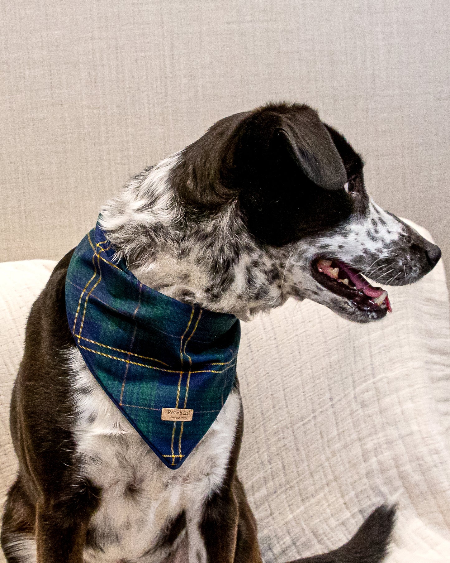 Navy Plaid Bandana