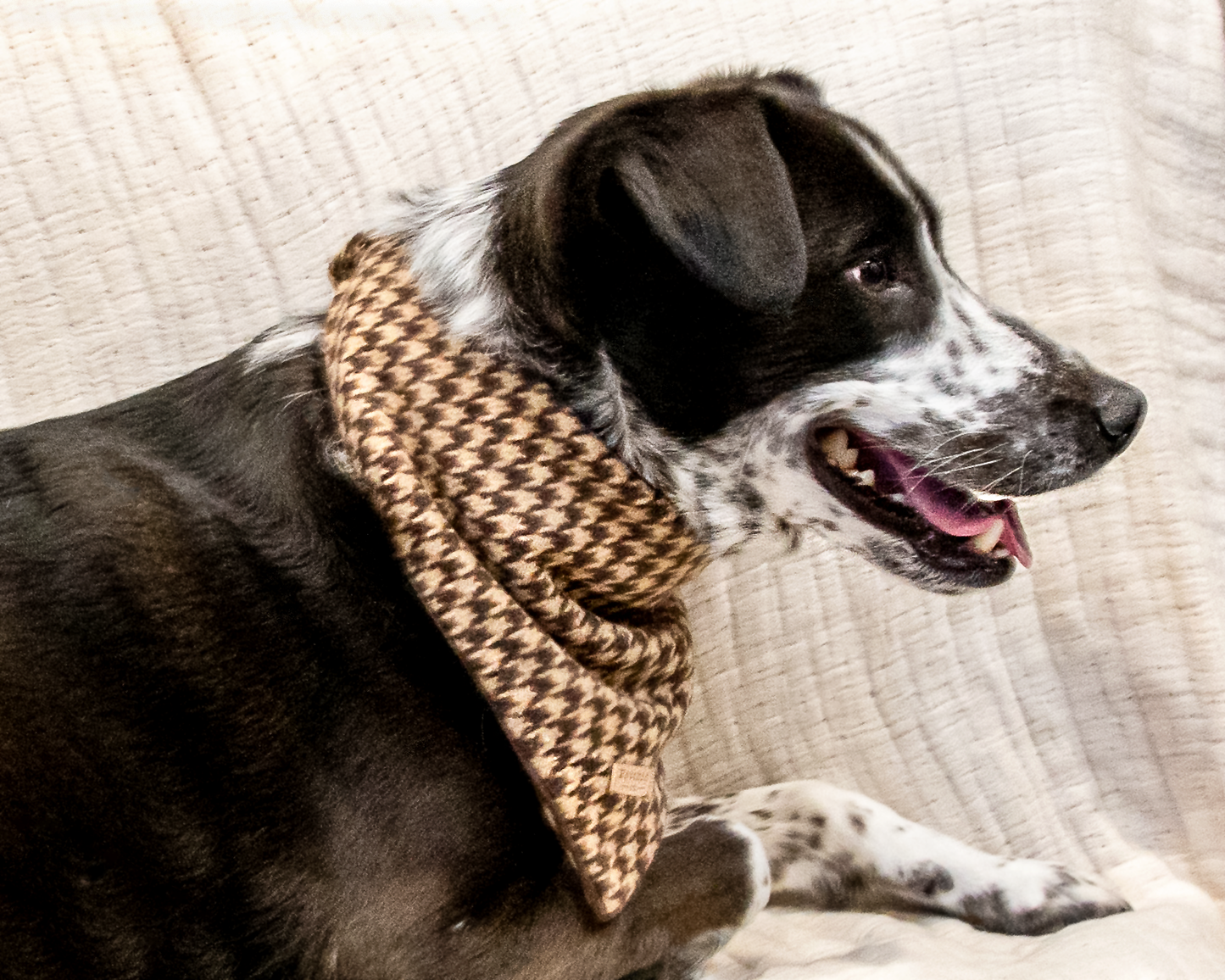 Houndstooth Bandana