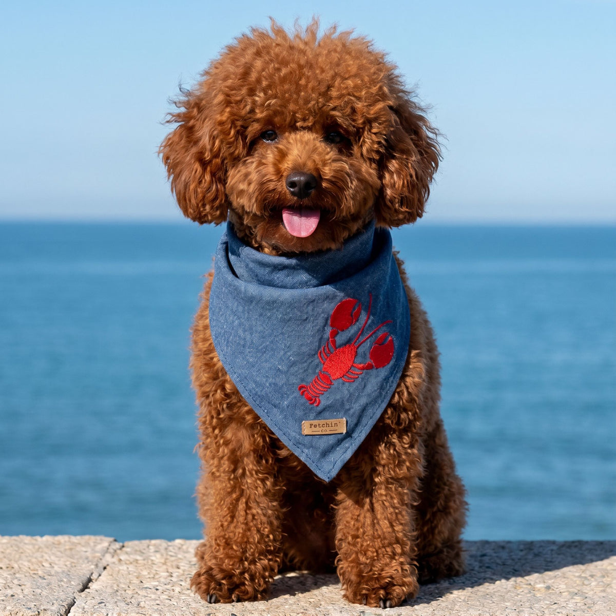Chambray Embroidered Lobster Bandana