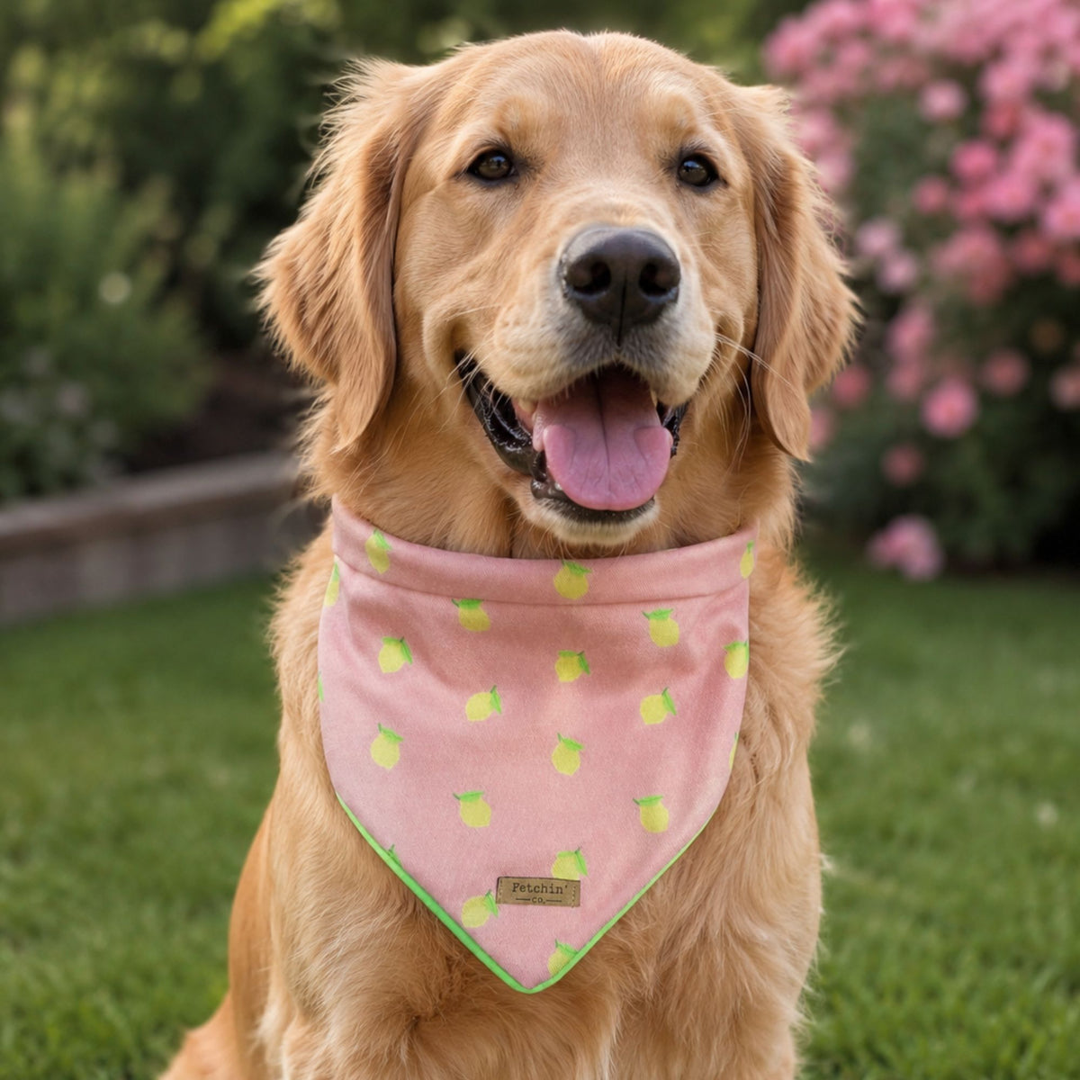 Pink Lemonade Printed Bandana