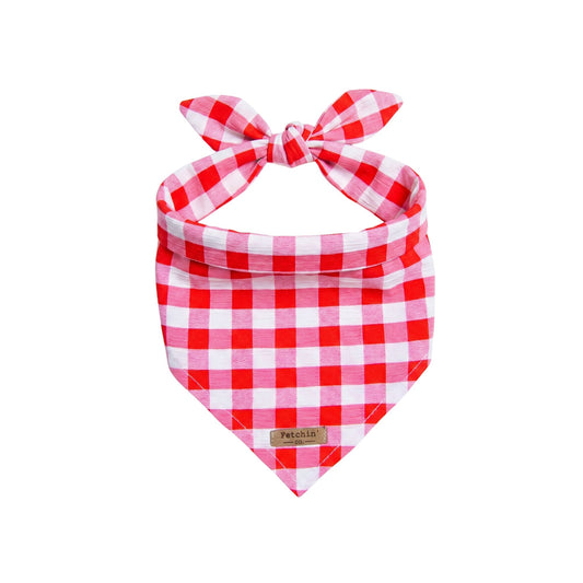 Red Gingham Bandana