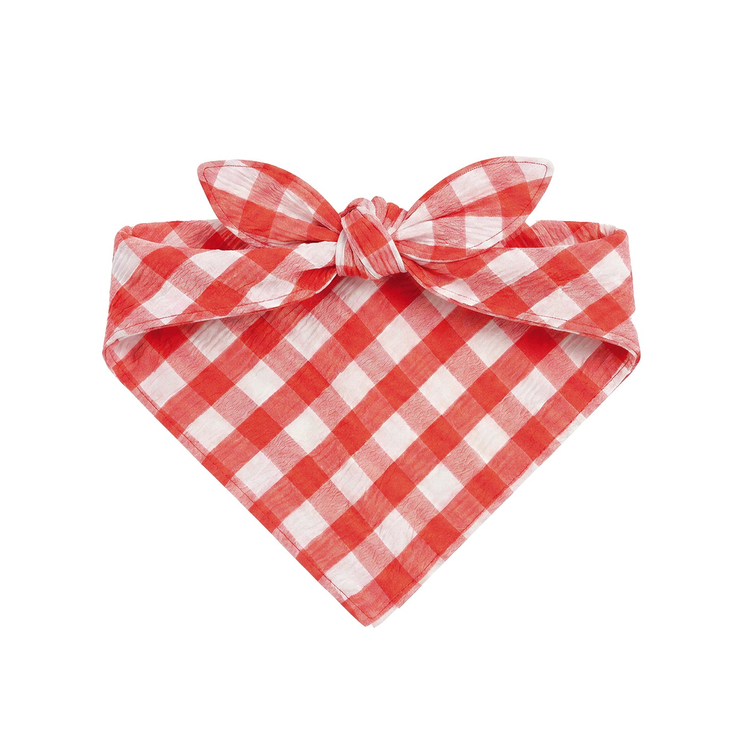 Red Gingham Bandana