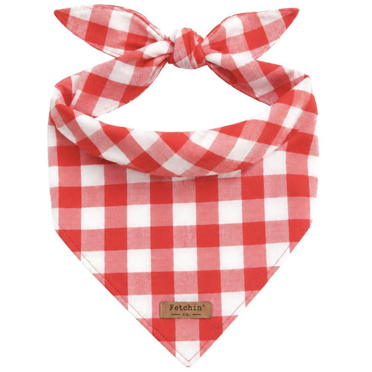 Red Gingham Bandana
