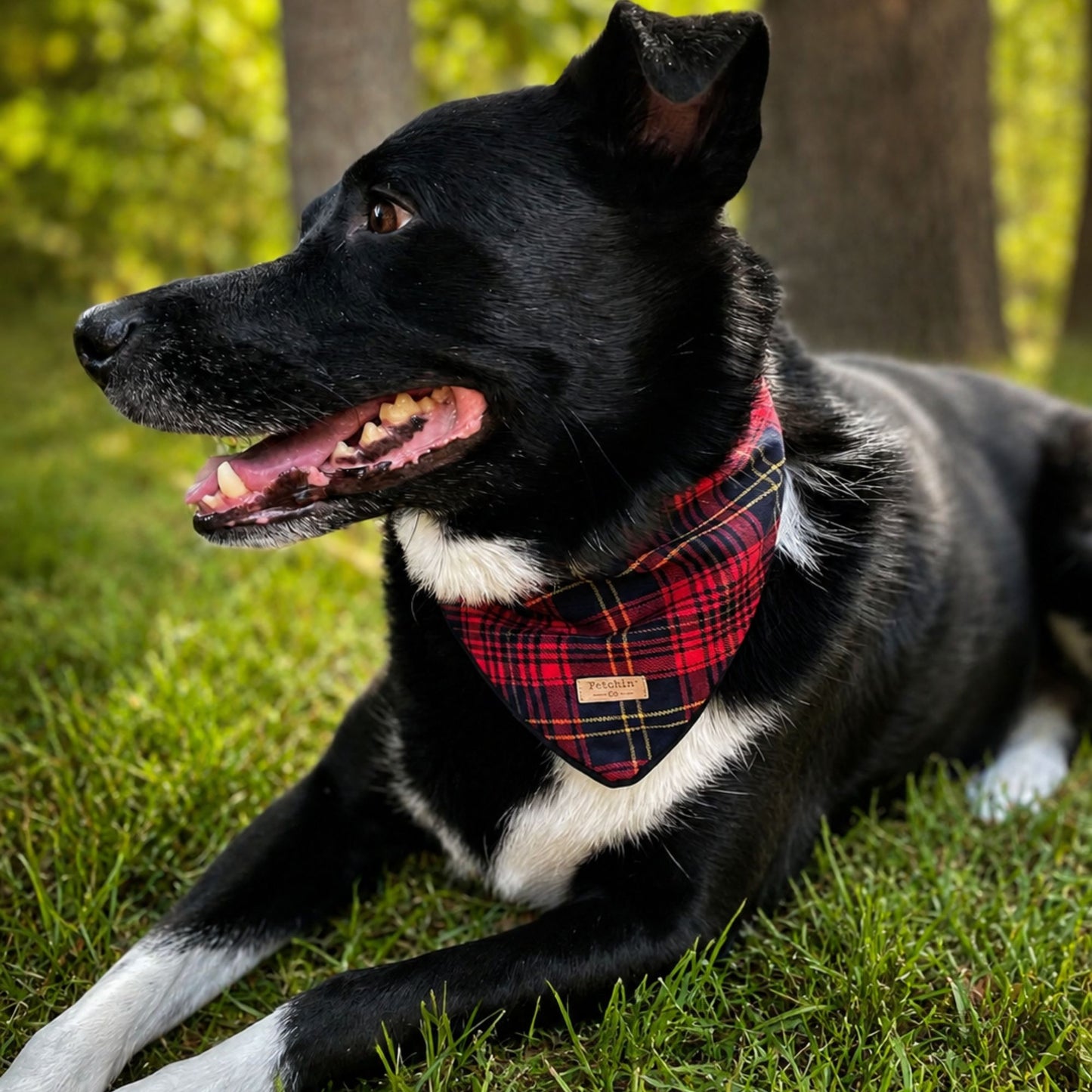 Red Plaid Bandana