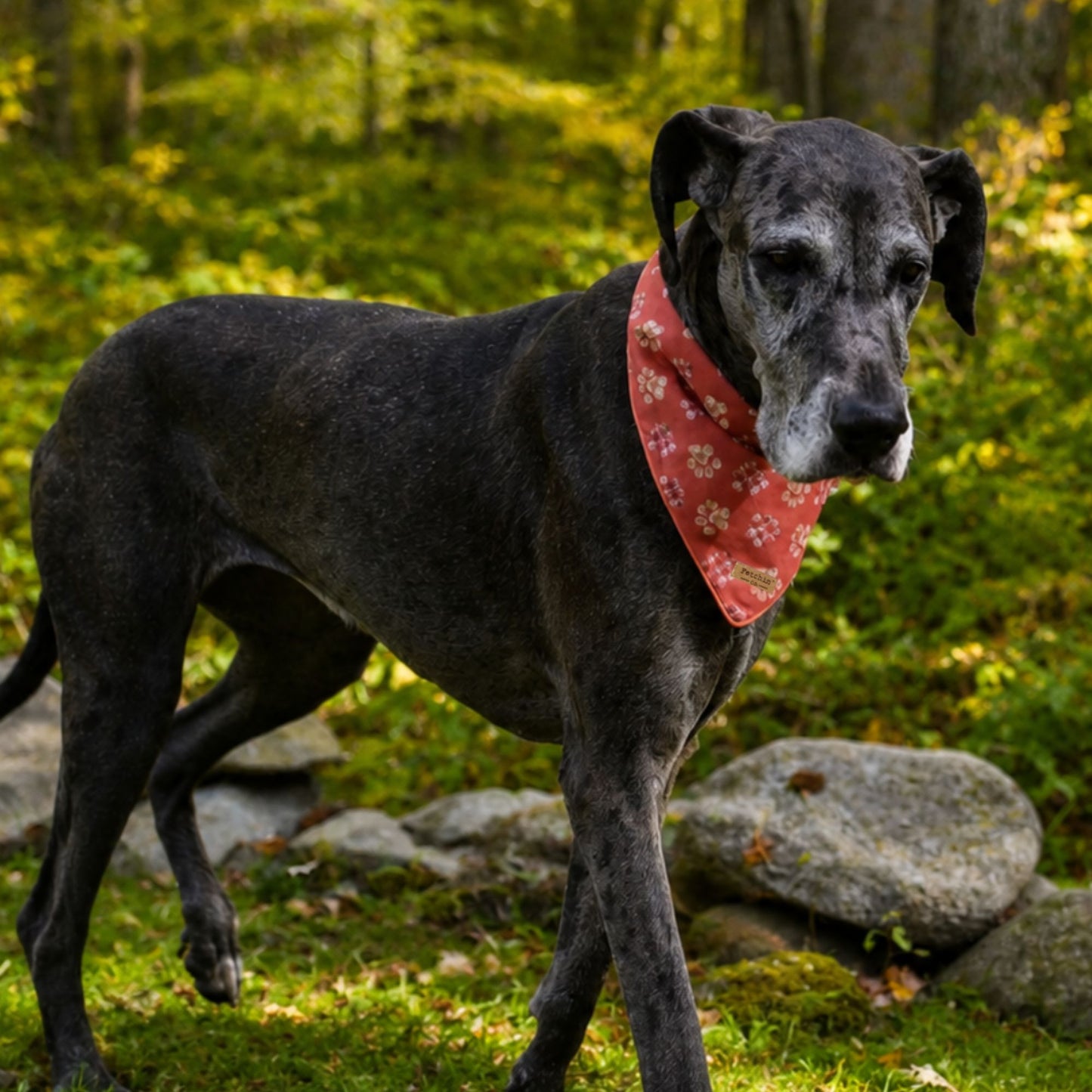 Plaid Paw Print Bandana