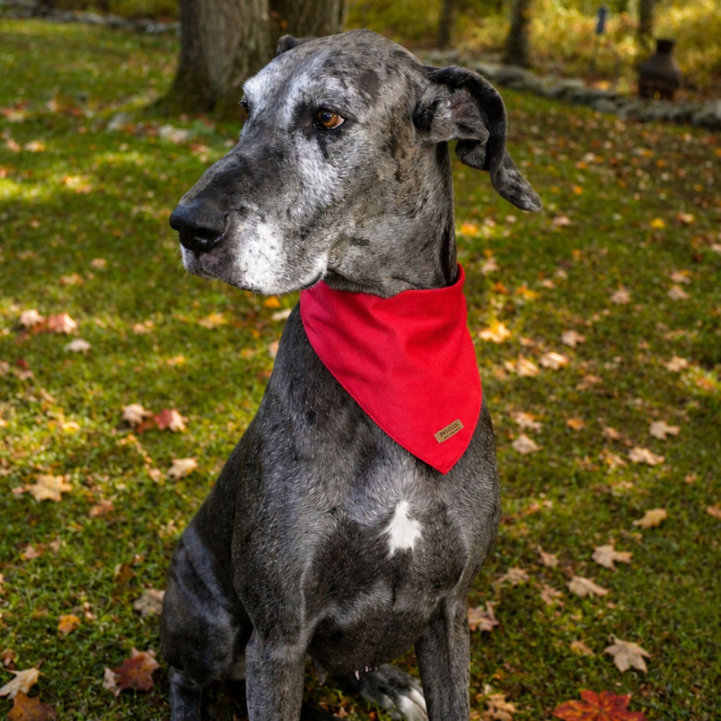 Red Velvet Bandana