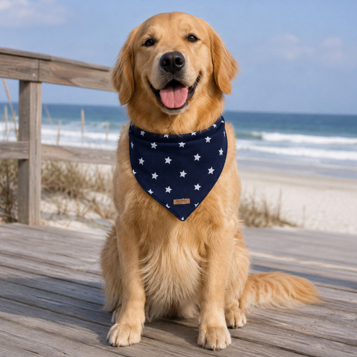Navy & White Stars Printed Bandana