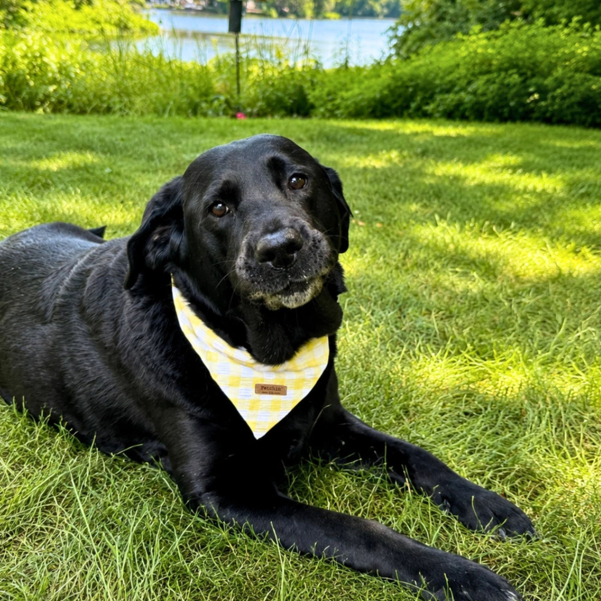Yellow Gingham Bandana