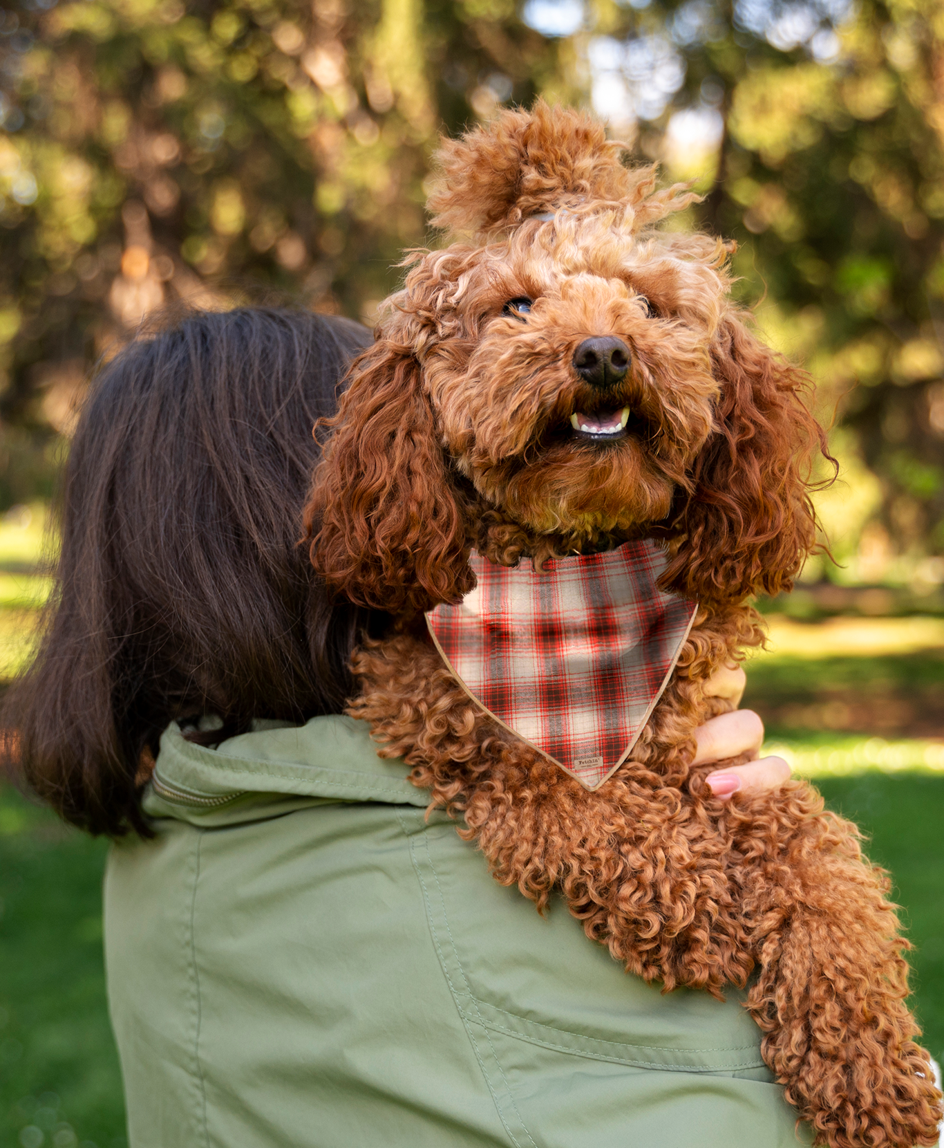 Rust Plaid Bandana