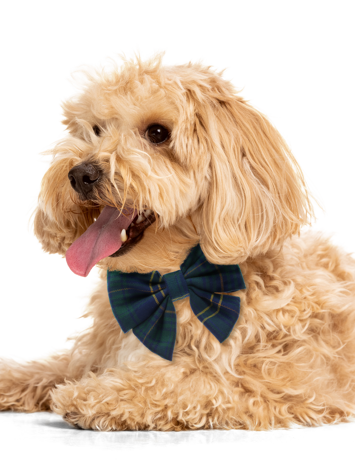 Navy Plaid Collar Bow
