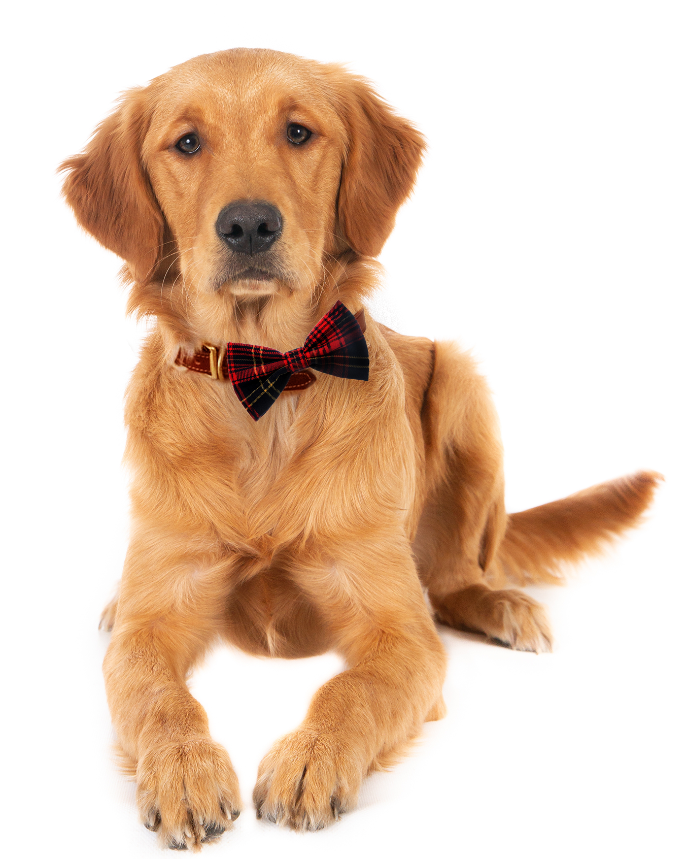 Red Plaid Collar Bow Tie