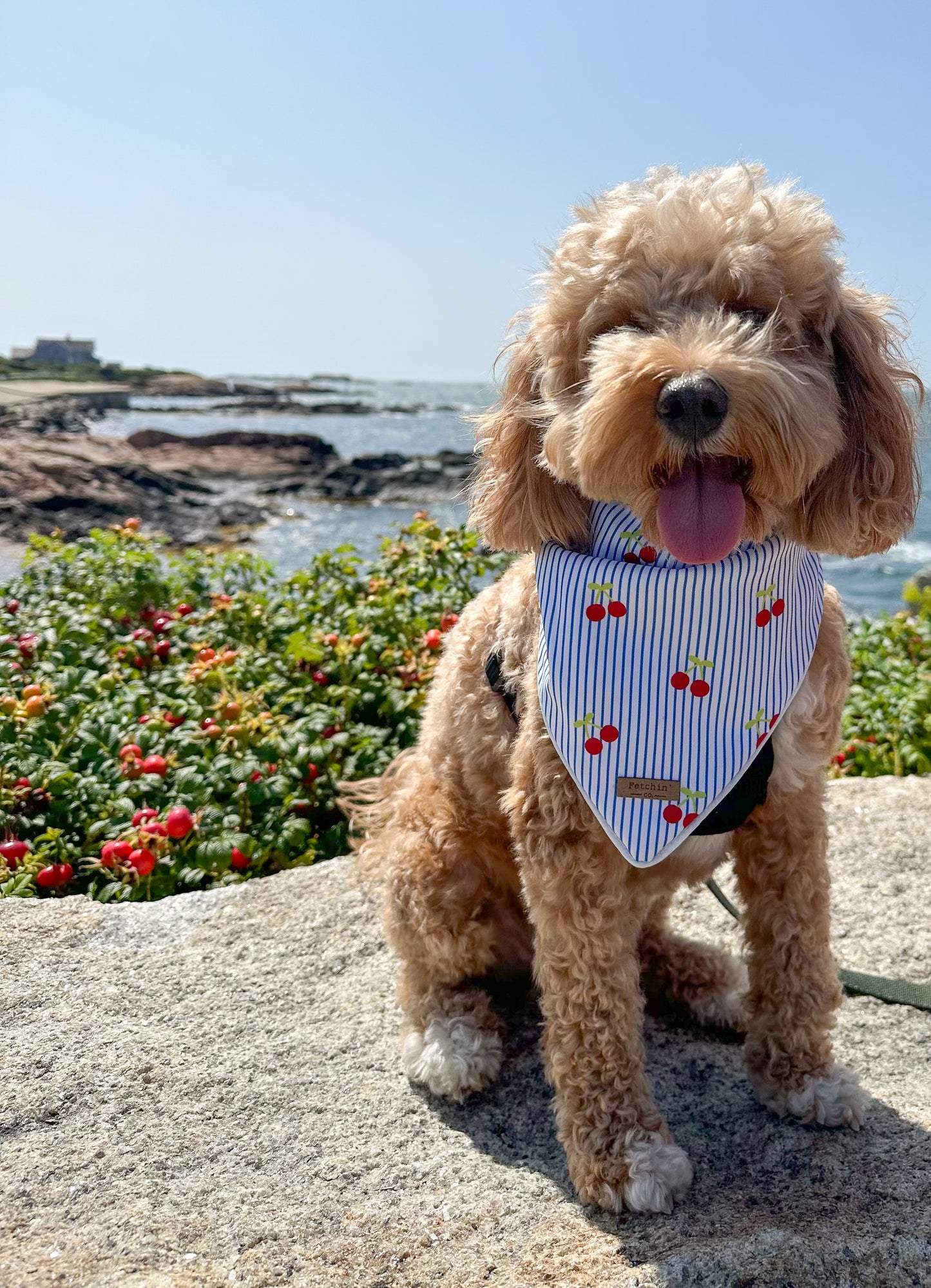 Cherry Pin-Striped Printed Bandana