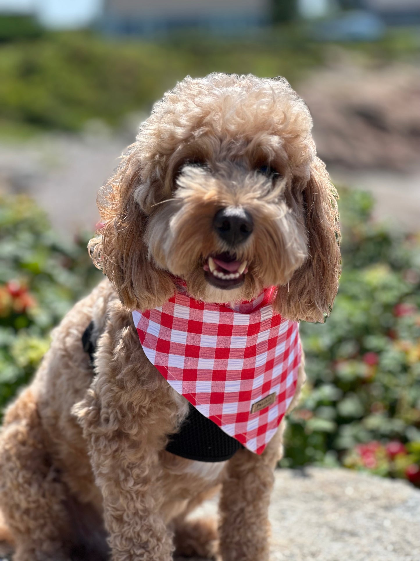 Red Gingham Bandana