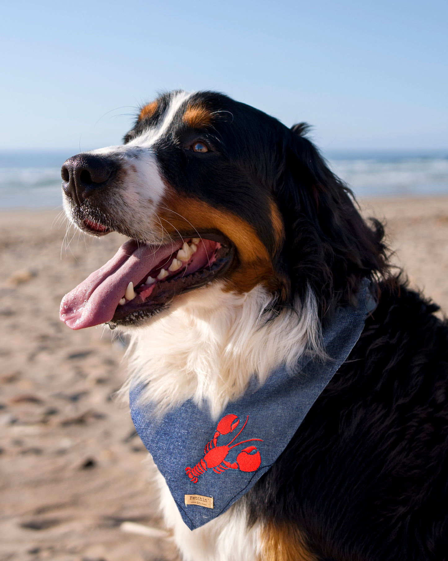 Chambray Embroidered Lobster Bandana