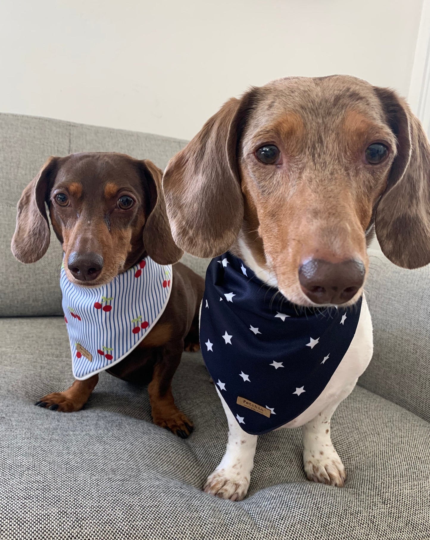 Navy & White Stars Printed Bandana